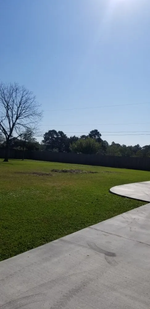 Custom lawn care service experts serving League City, TX - D&J Tree Services