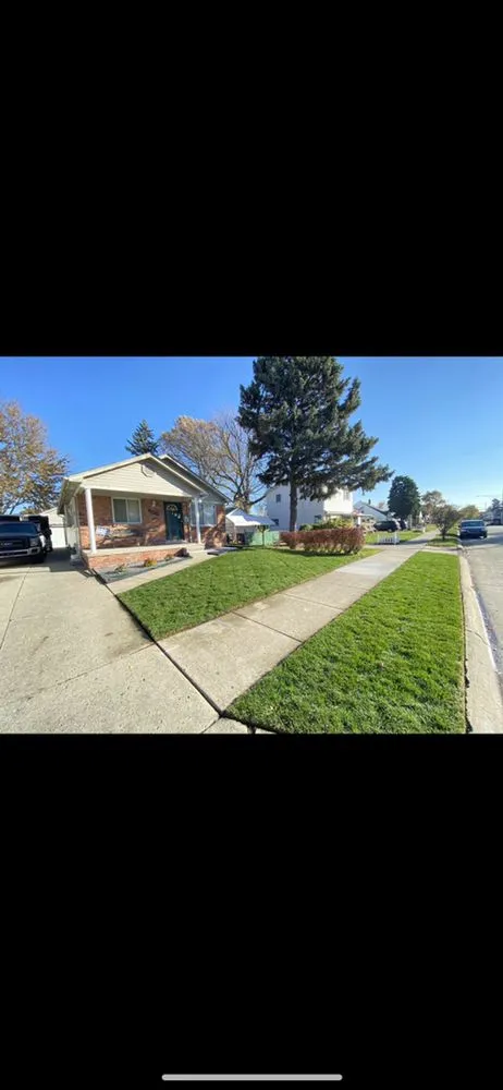 Reliable lawn care service in Roseville, MI by DJ Wyatt's Landscaping & Snow Removal