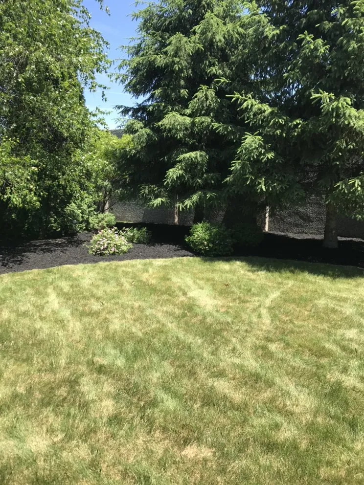 Trusted yard cleanup service in Dunmore, PA by DJ2 Lawn Care
