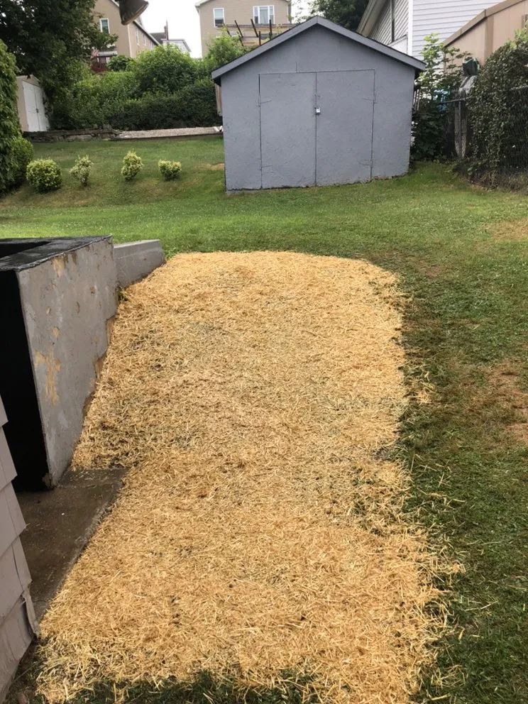 Top-rated lawn care service for outdoor upgrades across Dunmore, PA - DJ2 Lawn Care