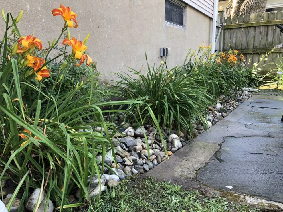 Top-rated landscaping services experts serving Dunmore, PA - DJ2 Lawn Care