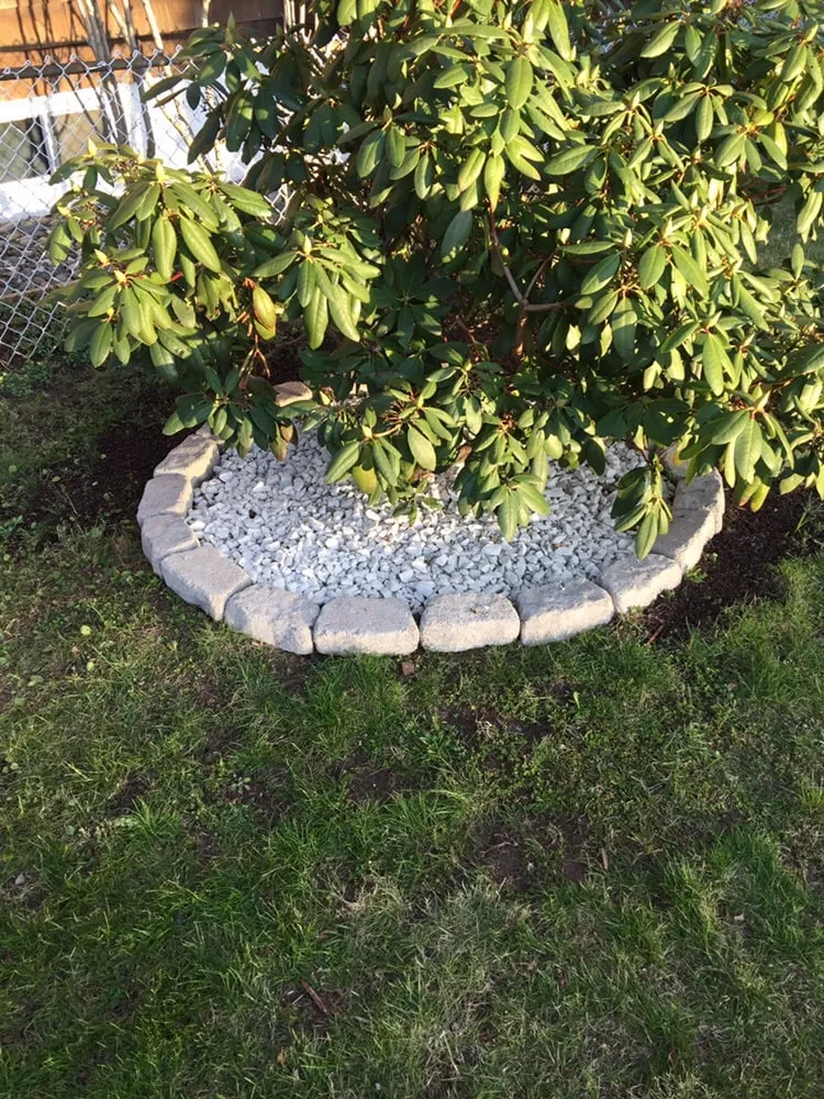 Reliable lawn mowing service in Saugus, MA by Dja Enterprises