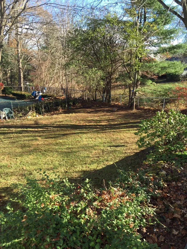 Trusted landscape design in Saugus, MA by Dja Enterprises