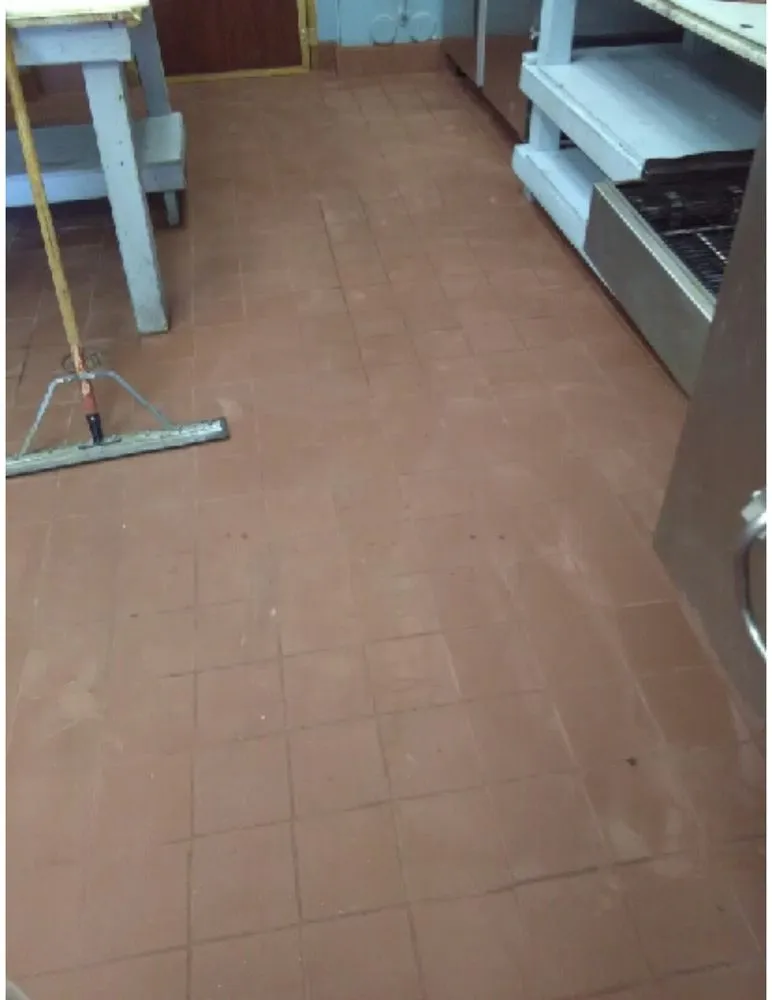 Affordable outdoor landscaping with custom design in Bakersfield, CA by DJango Handyman Service's