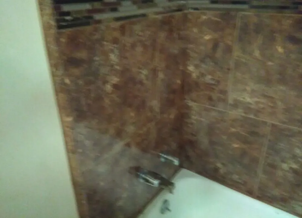 Top-rated yard cleanup service in Bakersfield, CA by DJango Handyman Service's