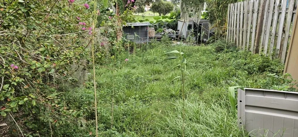 Local lawn care service for residential properties across Deltona, FL - Djax Landscaping Services