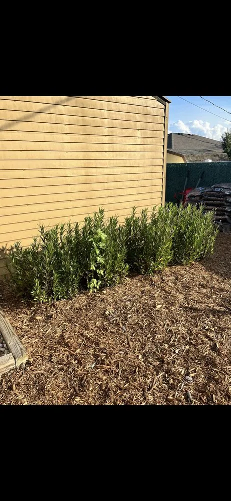 Expert lawn care service in Deltona, FL - Djax Landscaping Services