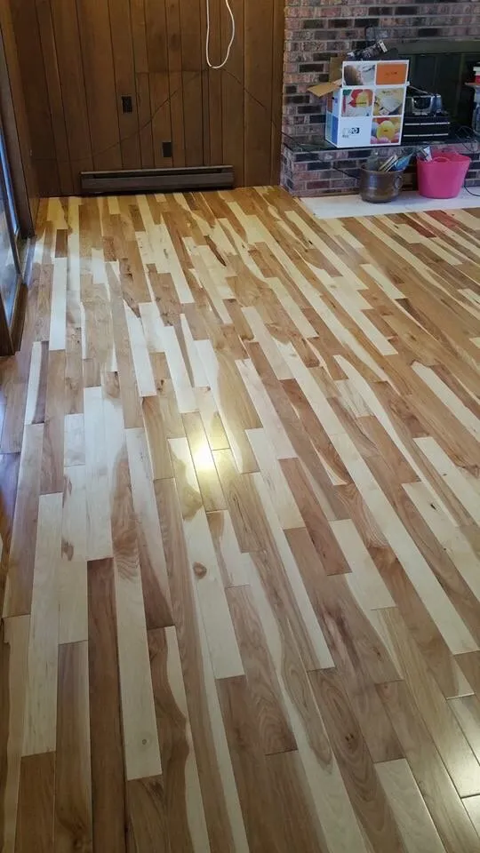 Trusted yard cleanup service in Colorado Springs, CO by DJCY Services