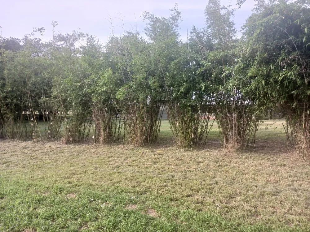 Expert garden landscaping in Victoria, TX - DJL Const