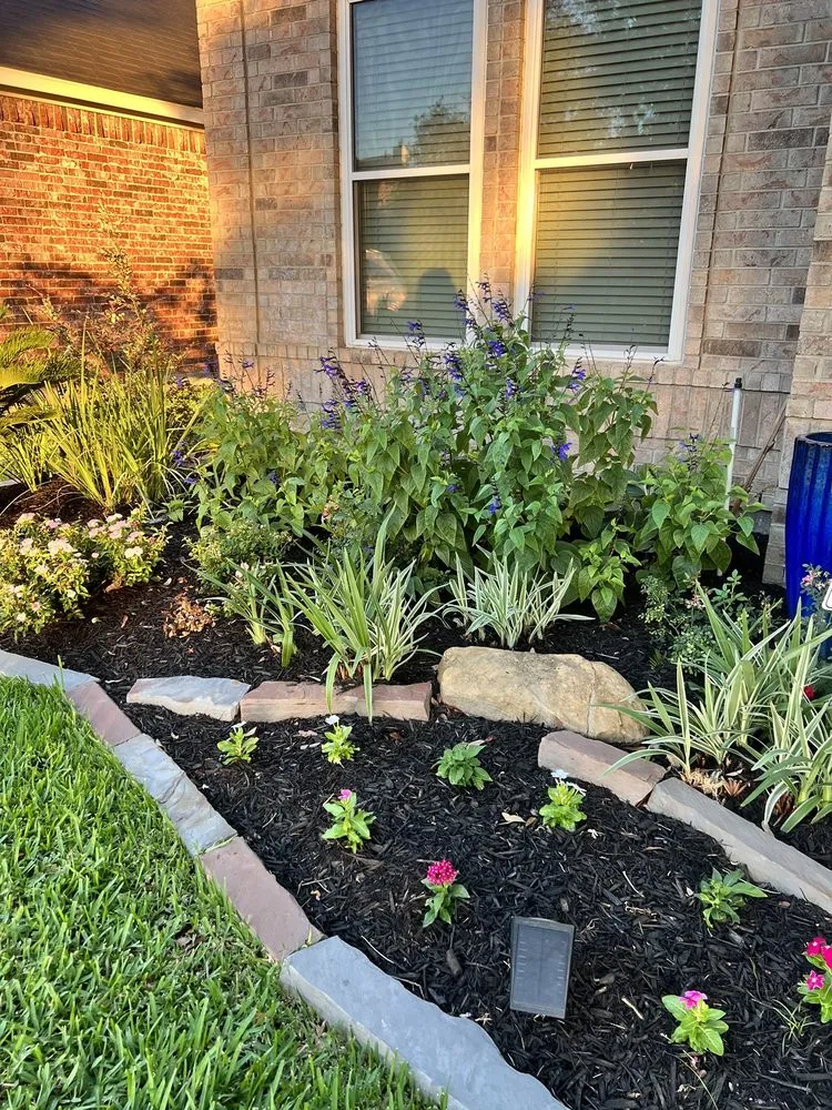 Professional lawn care service experts serving Tomball, TX - DJM Ground Services