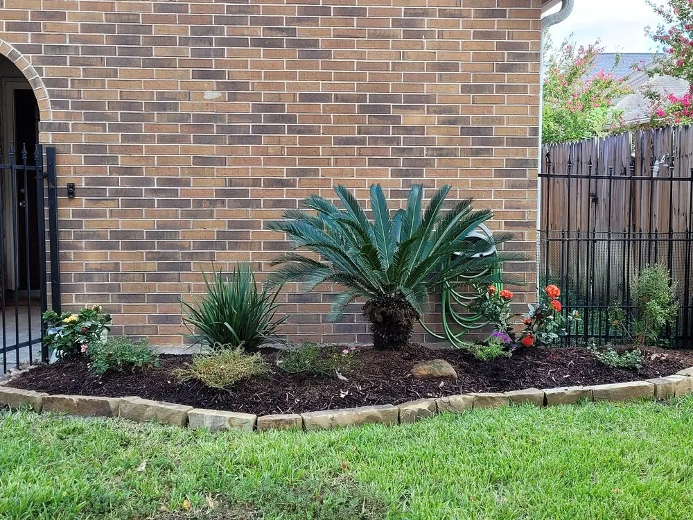 Local yard maintenance experts serving Tomball, TX - DJM Ground Services