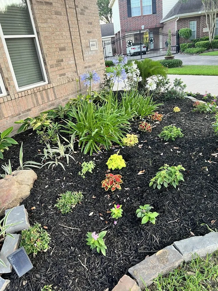 Custom landscaping services experts serving Tomball, TX - DJM Ground Services