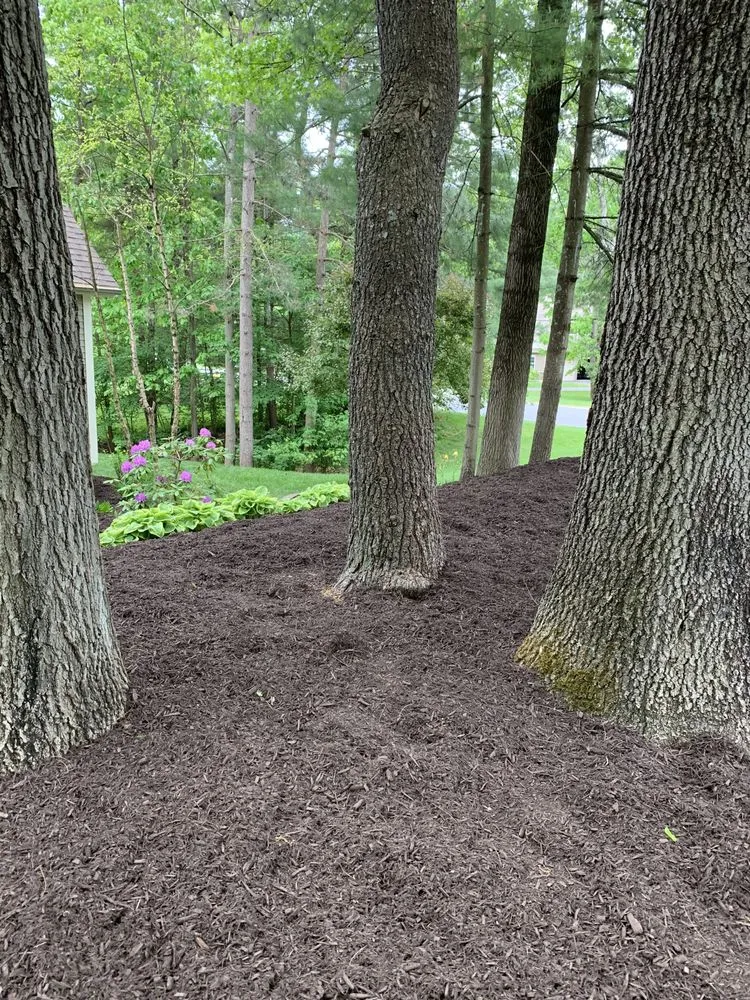 Expert residential landscaping in East Greenbush, NY - DJM Property Maintenance Group