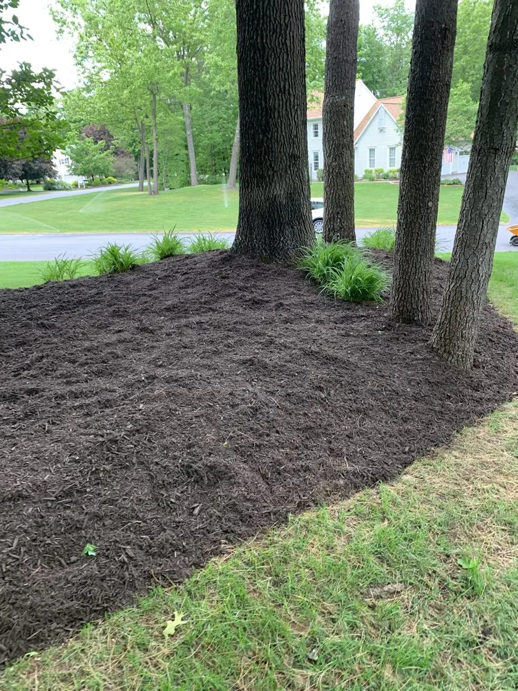 Local landscape installation in East Greenbush, NY by DJM Property Maintenance Group