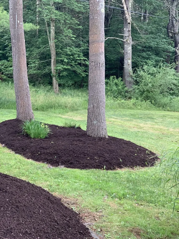 Custom lawn care service experts serving East Greenbush, NY - DJM Property Maintenance Group