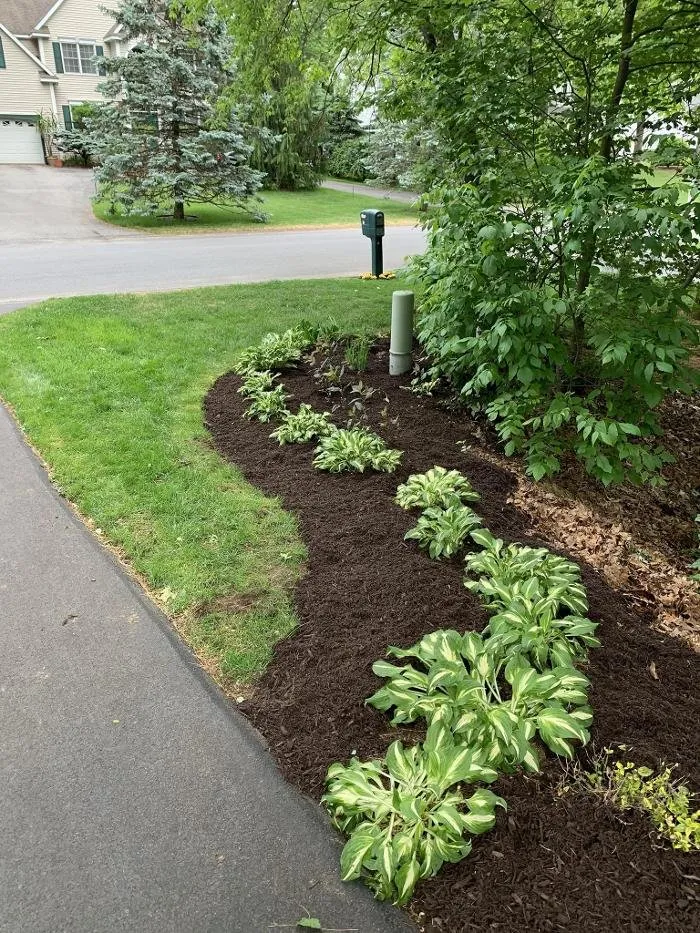 Professional residential landscaping for beautiful yards across East Greenbush, NY - DJM Property Maintenance Group