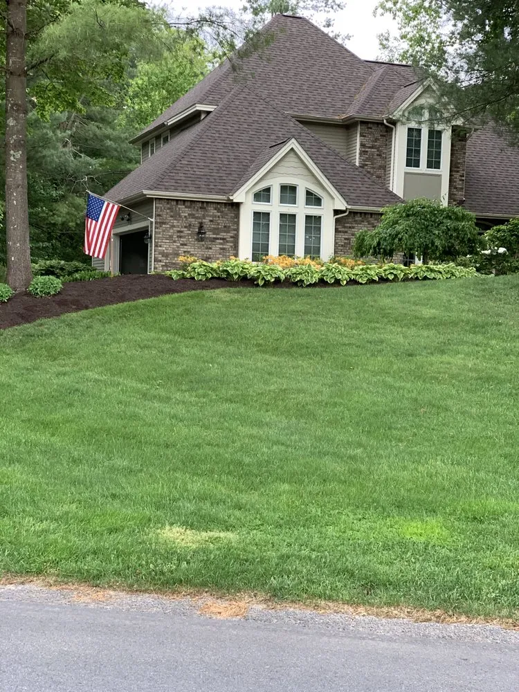 Custom yard cleanup service in East Greenbush, NY - DJM Property Maintenance Group
