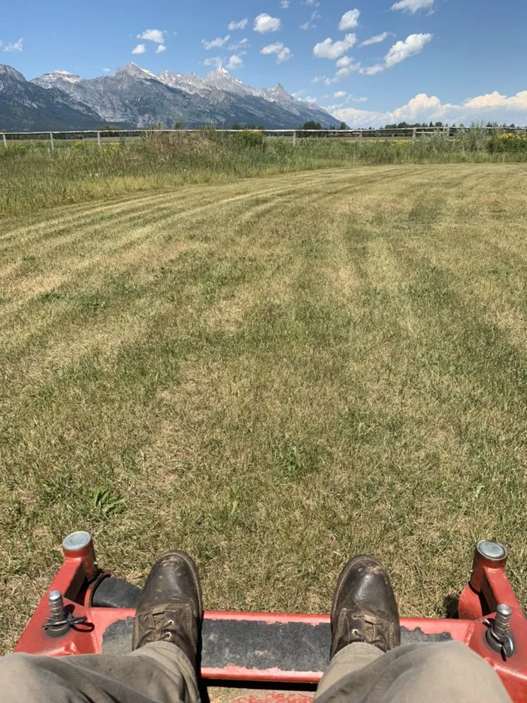 Trusted landscaping services for beautiful yards across Jackson, WY - DJM Property Services