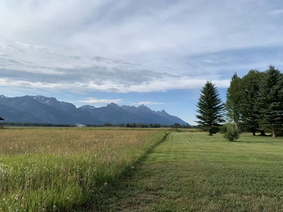 Professional lawn care service in Jackson, WY by DJM Property Services