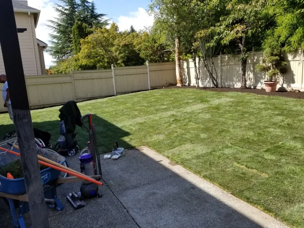 Professional residential landscaping in Seattle, WA - Djmm Martinez