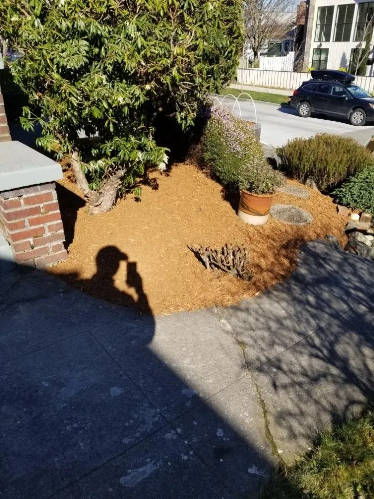 Reliable yard maintenance with custom design across Seattle, WA - Djmm Martinez