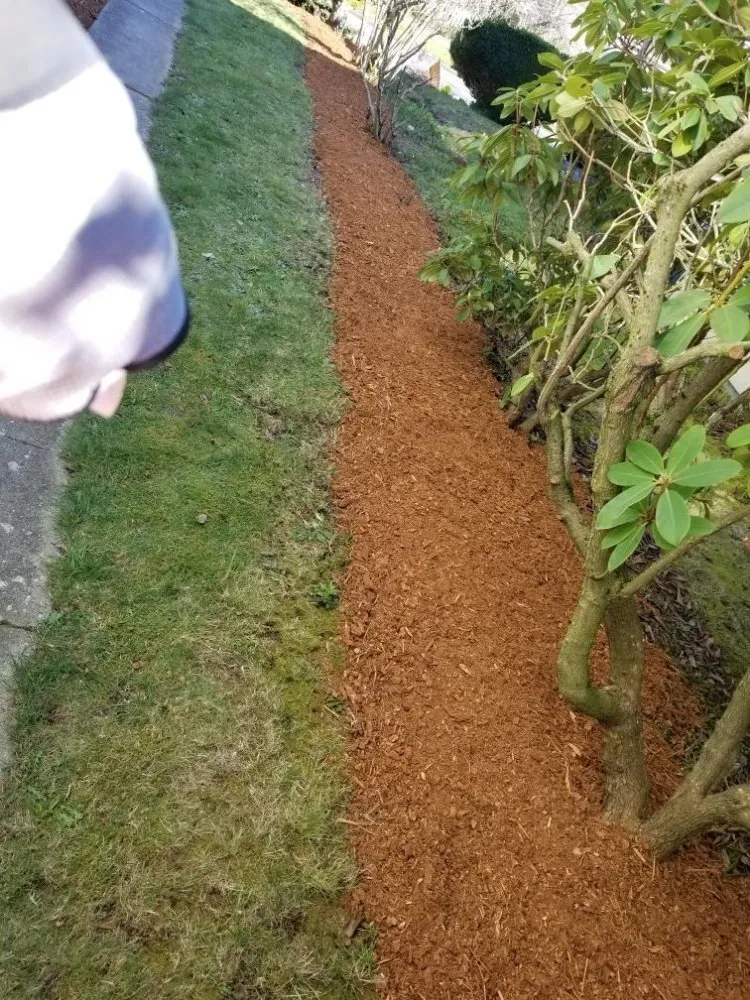 Custom landscape installation in Seattle, WA - Djmm Martinez