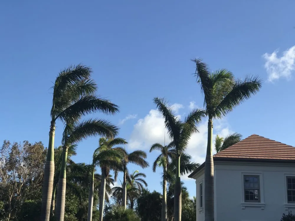 Reliable outdoor landscaping in West palm Beach, FL - Djn Landscaping And House Care