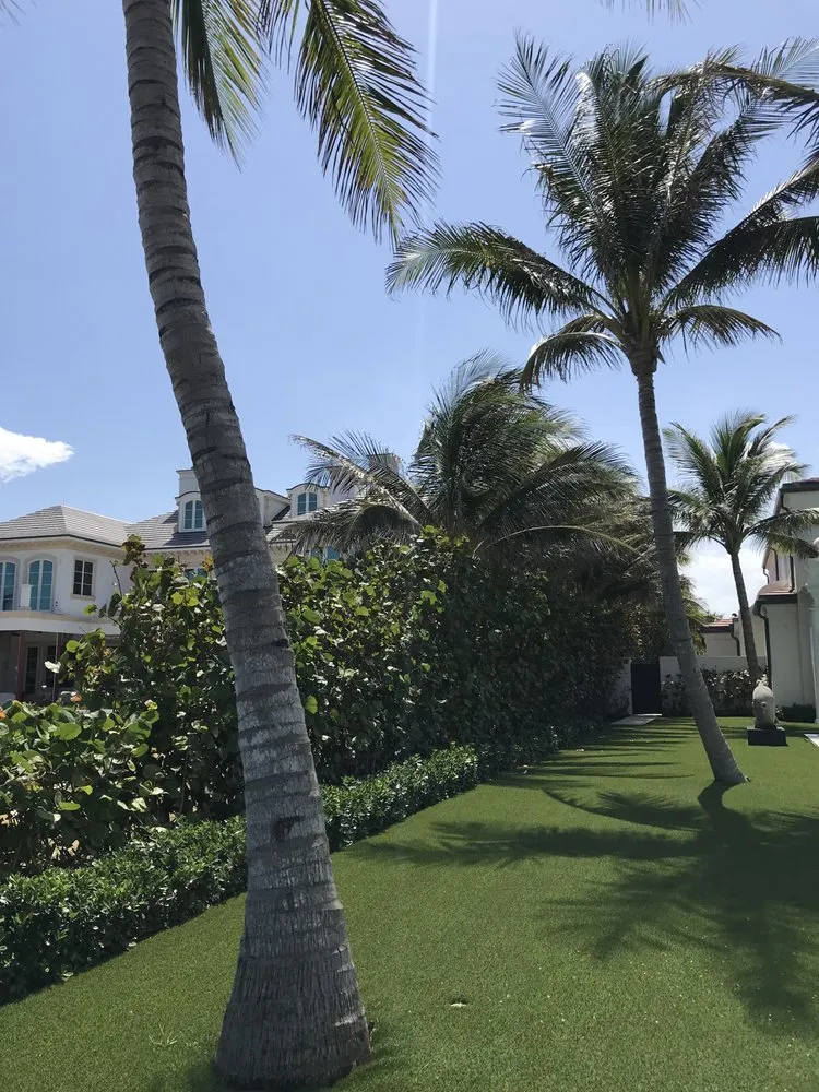 Expert yard cleanup service for beautiful yards in West palm Beach, FL by Djn Landscaping And House Care
