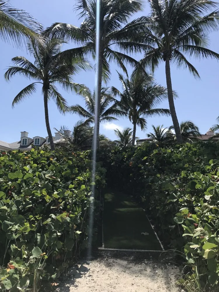 Custom yard maintenance in West palm Beach, FL - Djn Landscaping And House Care