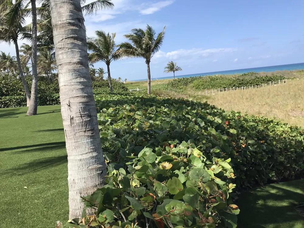 Trusted garden landscaping experts serving West palm Beach, FL - Djn Landscaping And House Care