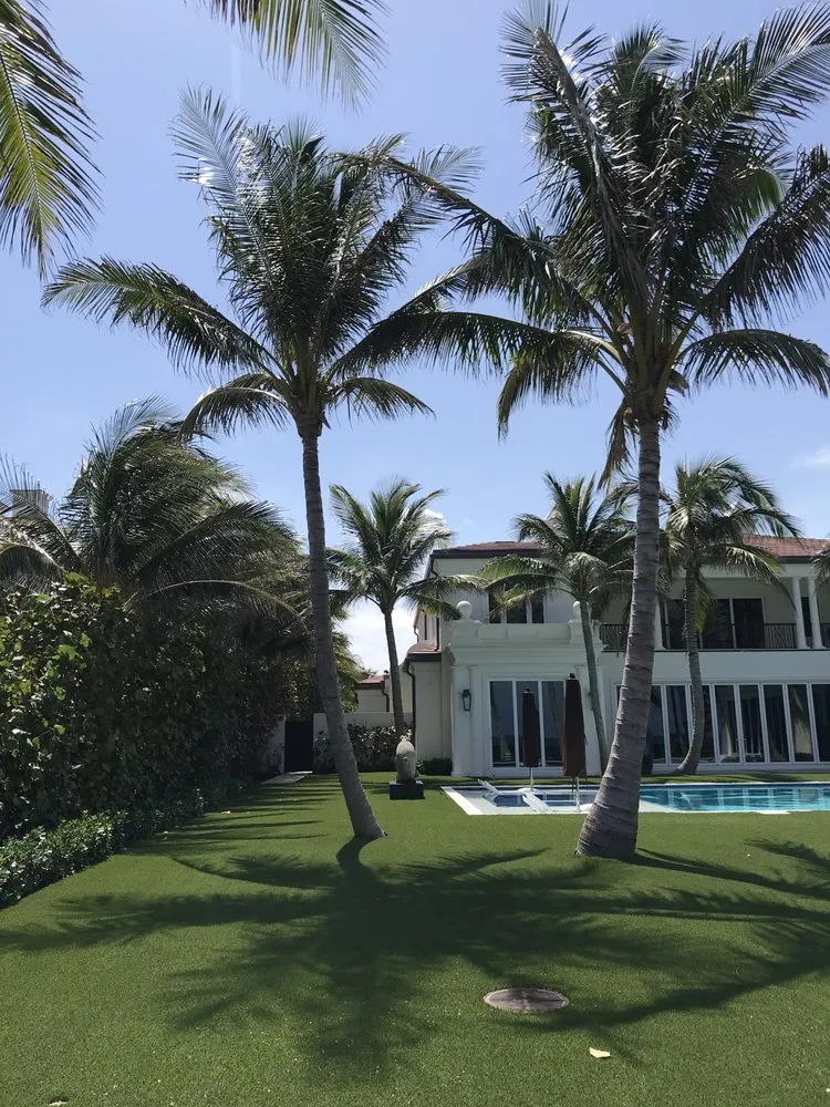 Top-rated yard maintenance for year-round maintenance in West palm Beach, FL by Djn Landscaping And House Care