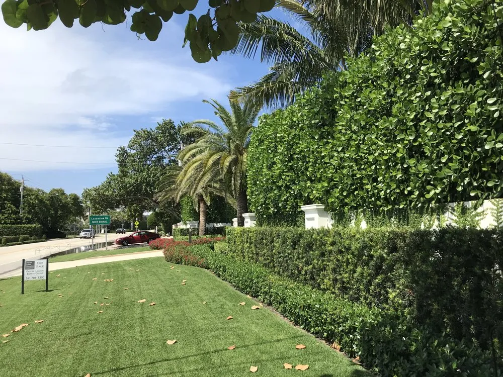 Reliable residential landscaping for beautiful yards across West palm Beach, FL - Djn Landscaping And House Care