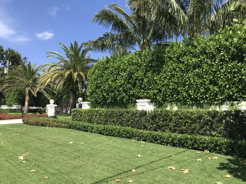 Custom landscaping services in West palm Beach, FL by Djn Landscaping And House Care