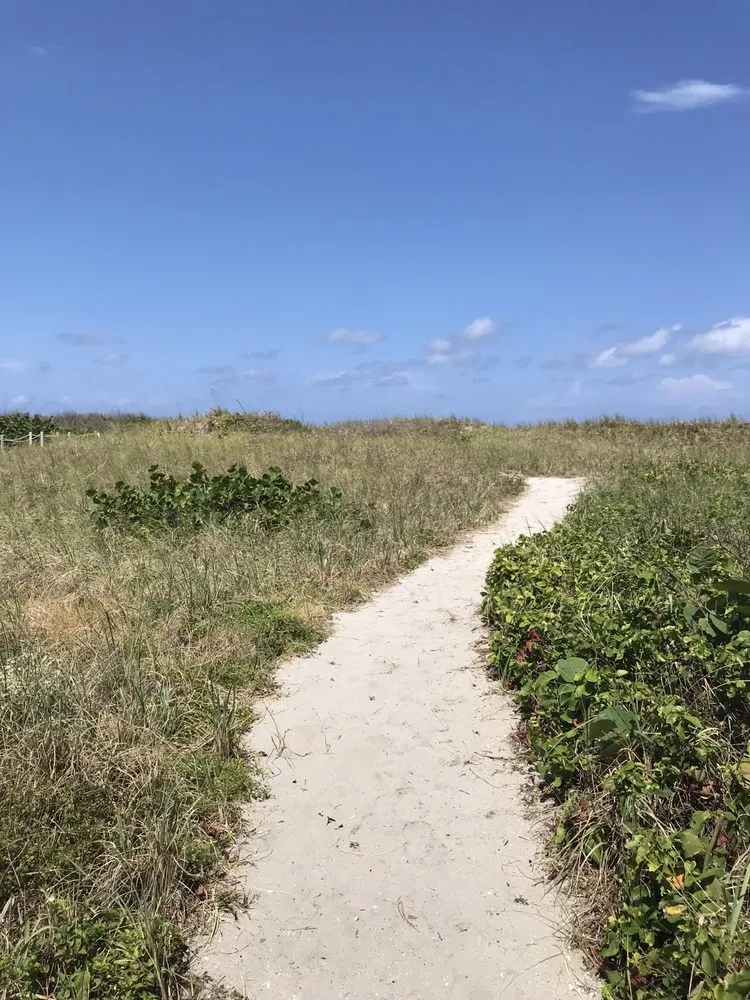 Custom landscape installation for beautiful yards in West palm Beach, FL by Djn Landscaping And House Care