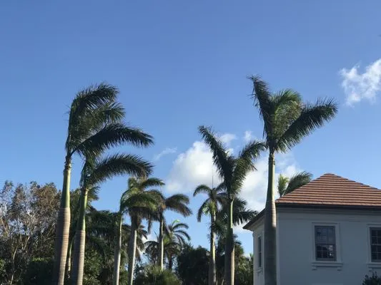 Djn Landscaping And House Care Logo