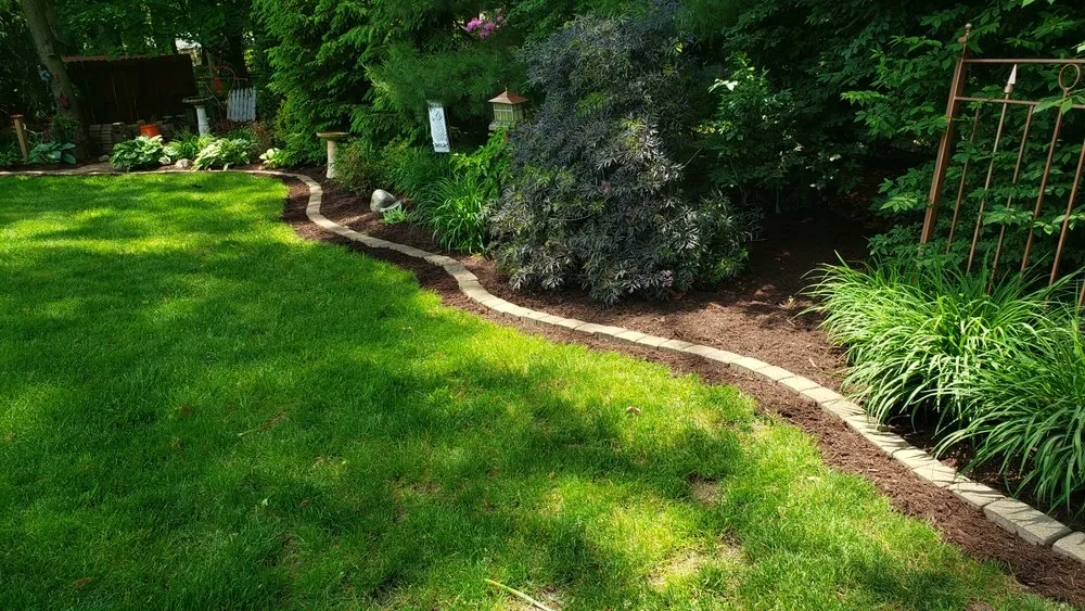 Affordable lawn care service in Canton, OH - DJP Lawn Care