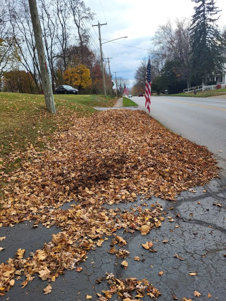 Reliable yard maintenance for beautiful yards in Canton, OH by DJP Lawn Care