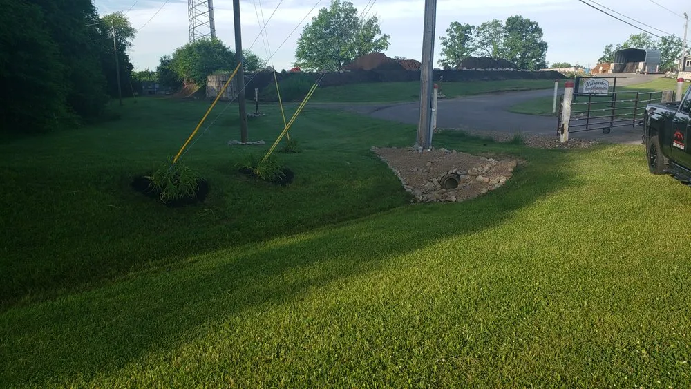 Affordable yard cleanup service experts serving Canton, OH - DJP Lawn Care