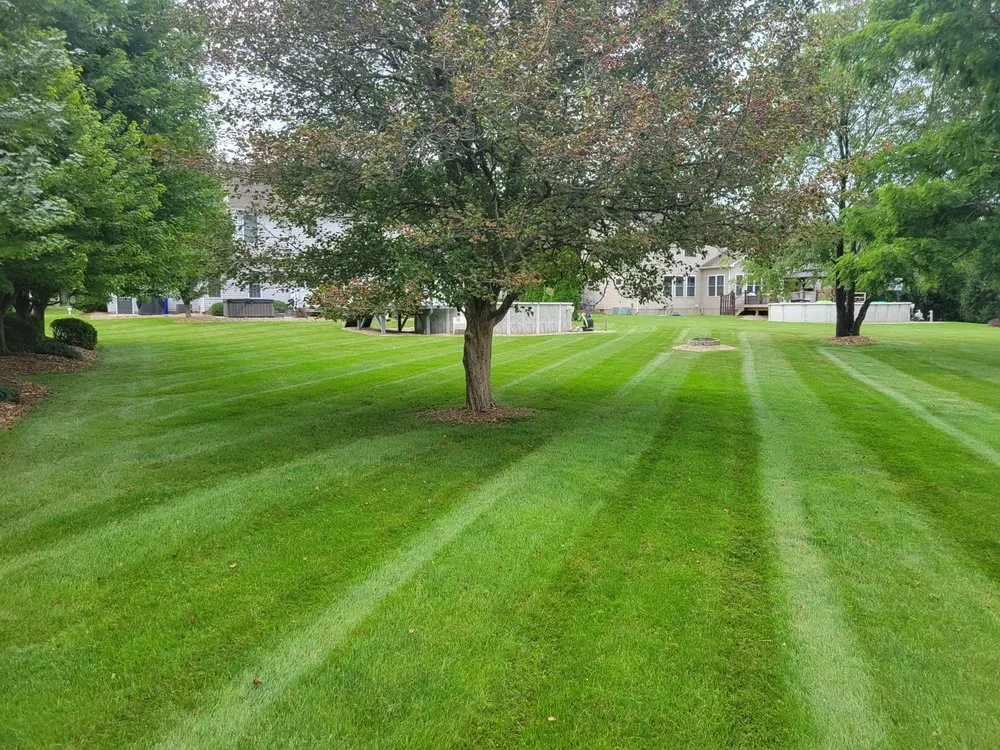 Reliable outdoor landscaping experts serving Rochester, NY - Djr Property Services