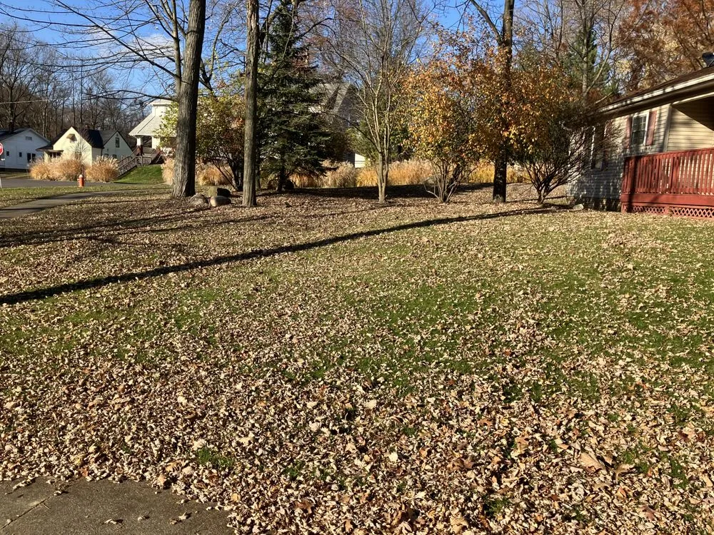 Top-rated residential landscaping in Mentor, OH by D&Jr Unlimited Services