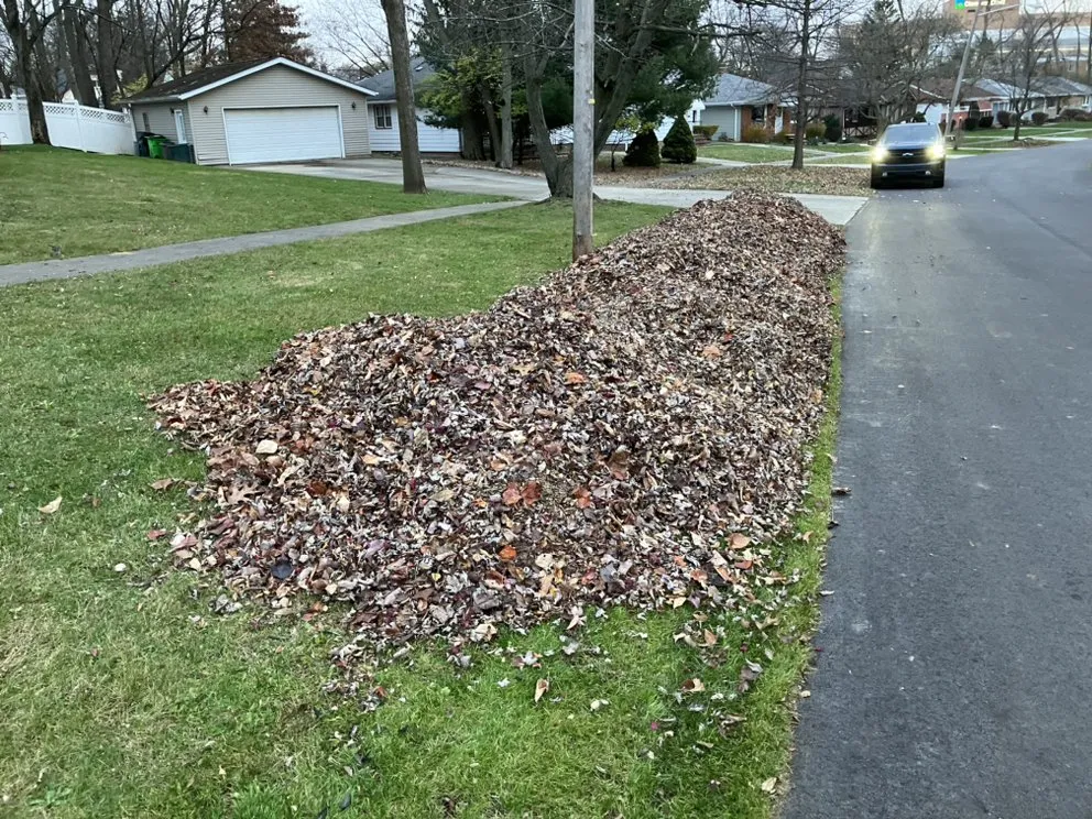 Professional outdoor landscaping in Mentor, OH by D&Jr Unlimited Services