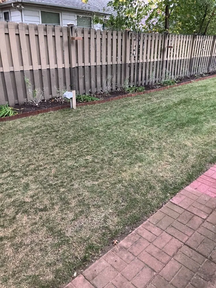 Affordable yard cleanup service in Mentor, OH - D&Jr Unlimited Services