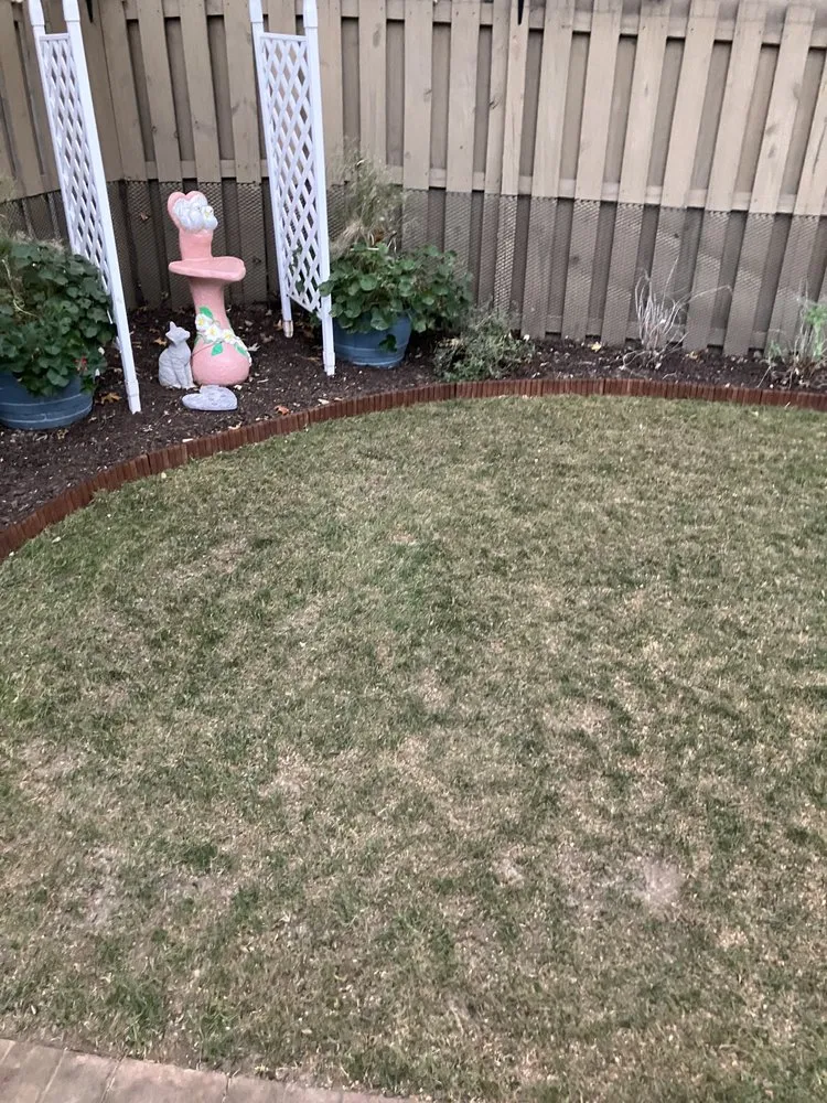 Expert yard maintenance experts serving Mentor, OH - D&Jr Unlimited Services