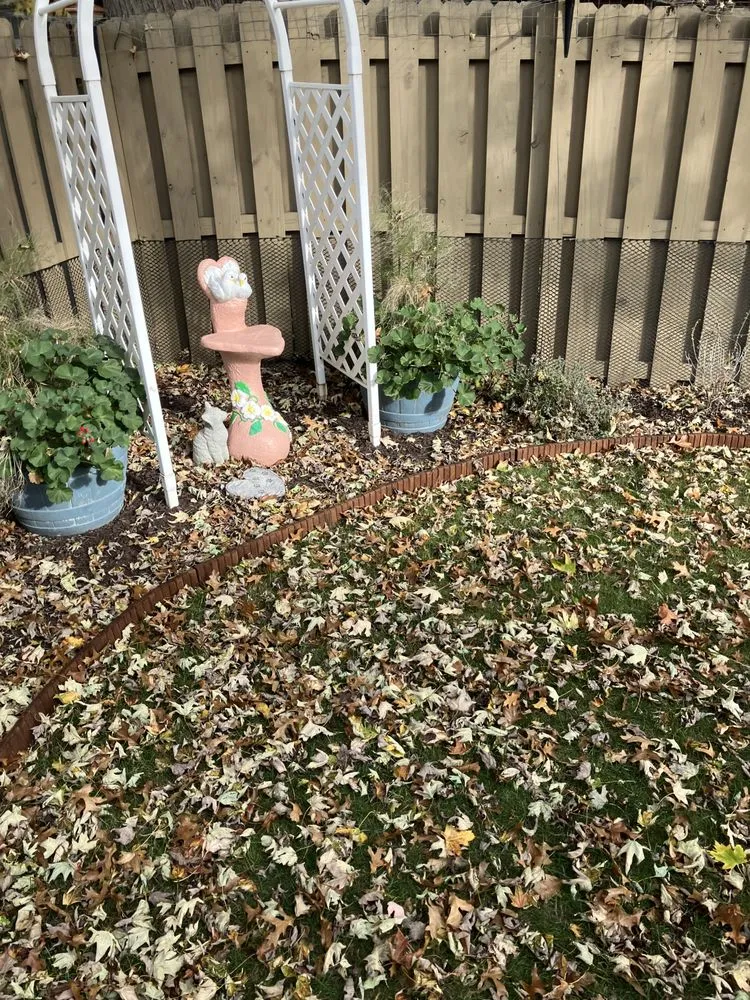 Affordable yard maintenance for beautiful yards in Mentor, OH by D&Jr Unlimited Services