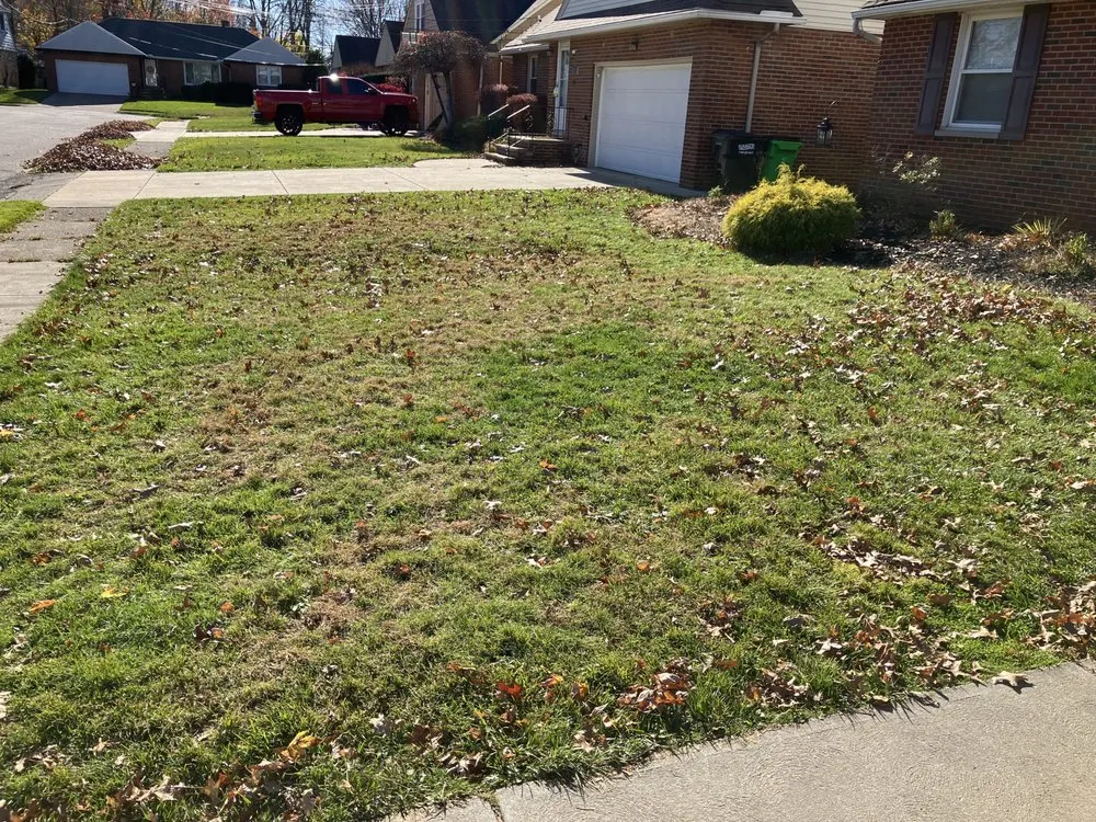 Reliable garden landscaping for residential properties across Mentor, OH - D&Jr Unlimited Services