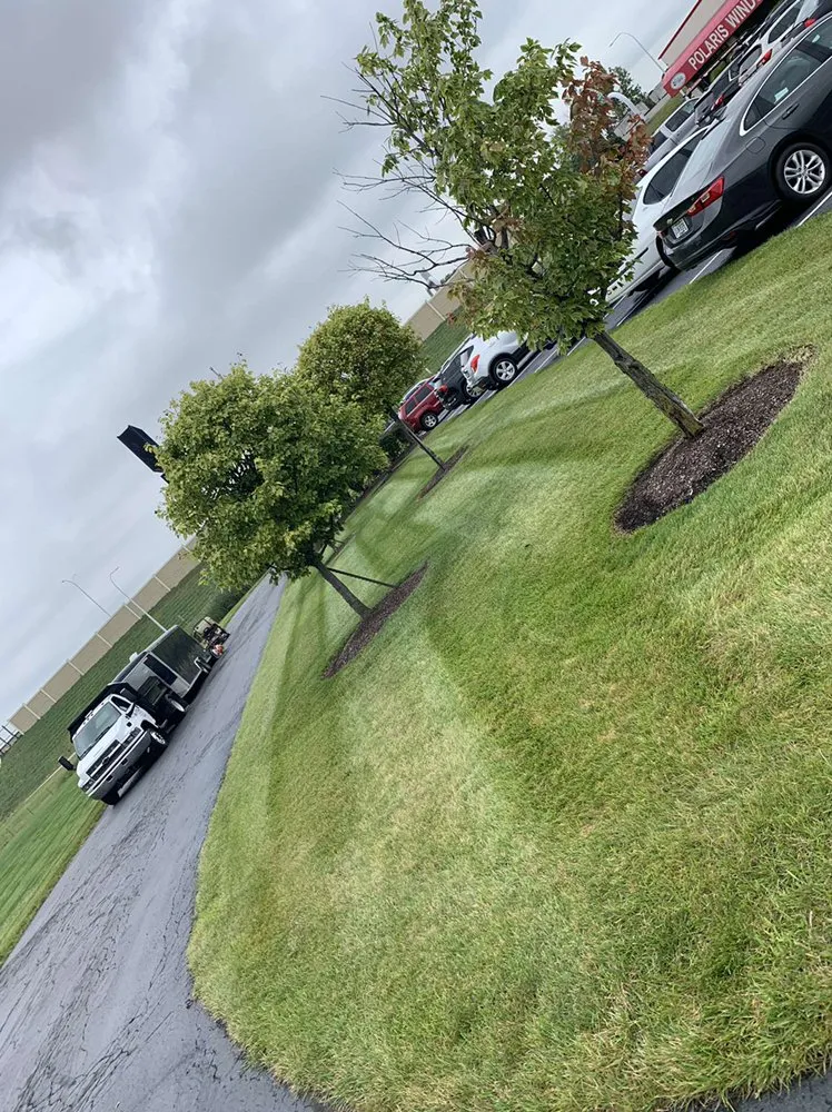 Local lawn mowing service in Blissfield, MI by DJ’s General Labor