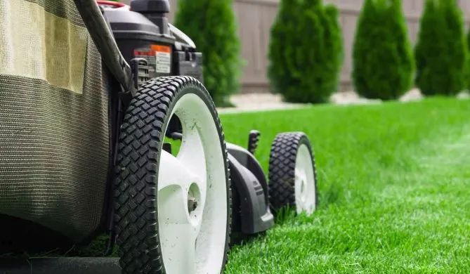 Top-rated landscaping services experts serving Baton Rouge, LA - DJ’s Greenhouse