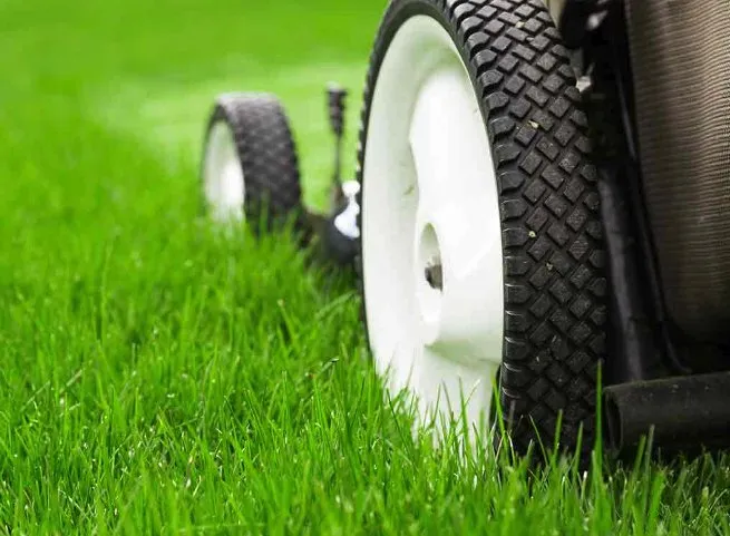 Custom lawn mowing service for beautiful yards in Baton Rouge, LA by DJ’s Greenhouse