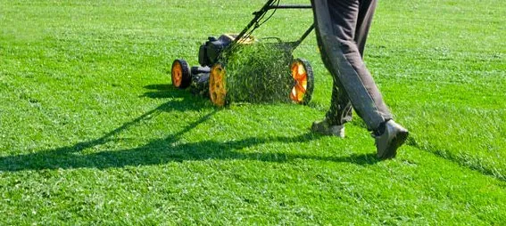 Expert garden landscaping for beautiful yards across Baton Rouge, LA - DJ’s Greenhouse