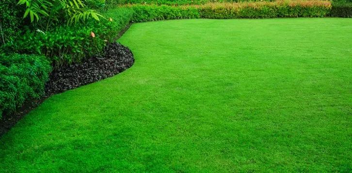 Affordable landscaping services for beautiful yards across Baton Rouge, LA - DJ’s Greenhouse